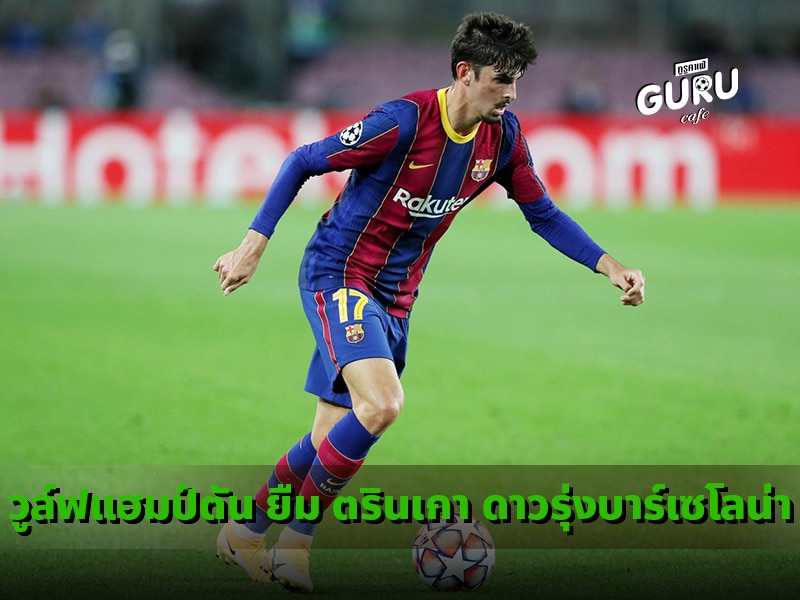 วูล์ฟแฮมป์ตัน