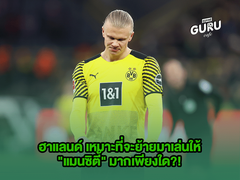 บทความฟุตบอล ฮาแลนด์ 
