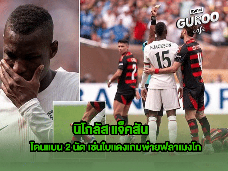 นิโกลัส แจ็คสัน