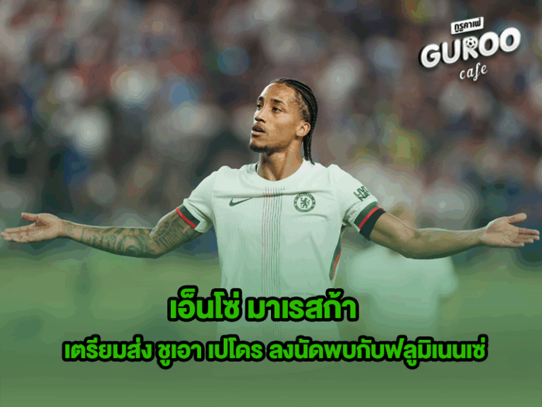 เอ็นโซ่ มาเรสก้า