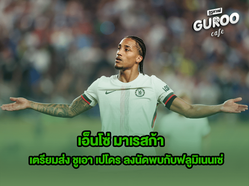 เอ็นโซ่ มาเรสก้า